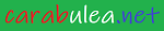 Carabulea.NET logo